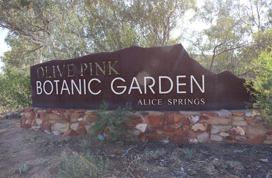 20th March 2023 Meeting Olive Pink Botanic Garden (Alice Springs)
